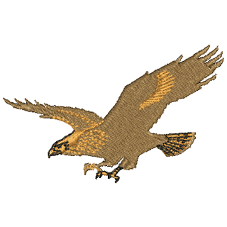 Hawk 10738