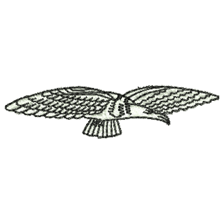 Hawk 10763