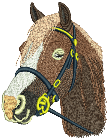 Horse 10019
