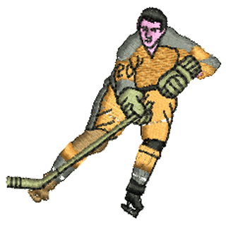 Ice Hockey 10480