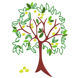 Lemon Tree 12144