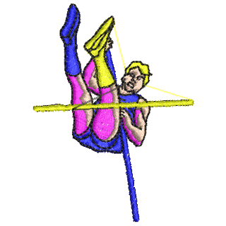 Polevault 10271