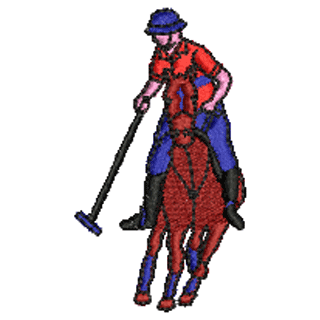 Polo 10913