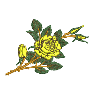 Roses 12191