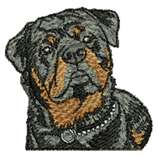 Rottweiler 11255