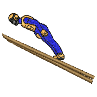 Skiier 11126