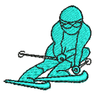 Skiier 10964