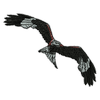 Bird Flying 11195