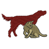 Cat and a Dog 11205