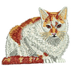 Cat 12300