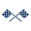 Chequered Flags 12686