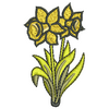 Daffodils 11718