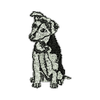 Dog 11218