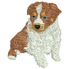 Dog Collie 12552