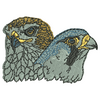Falcons 12355