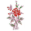 Flower 12947