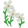 Flowers 11720
