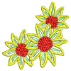 Flowers 20037