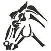 Horse 12574