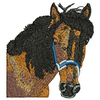 Horses Head 12122