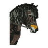 Horses Head 13853