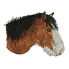 Horses Head 13856