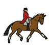 Show Horse 13870