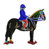 Show Pony 13865