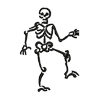 Skeleton 12772
