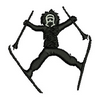 Skiier 13445