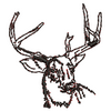 Stag 12479