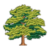 Tree 12785