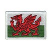 Welsh Flag