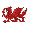Welsh Dragon 14096
