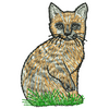 Cat 11167