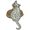 Cat 11171