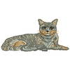 Cat 11175