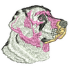 Dog 10891
