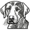 Dog 12055