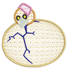 Egg Hatching 10680