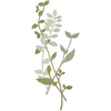 Flowers 11721