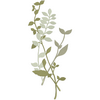 Flowers 12089