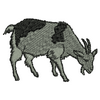 Goat 20627