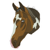 Horse 10022