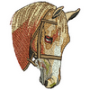 Horse 10034