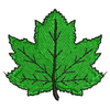 Leaf 10958
