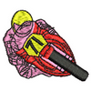 Motorbike 10246