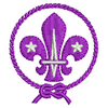 Scouts 12466