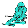 Skiier 10964