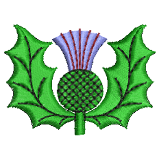 Thistle 10435